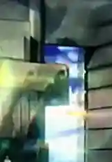 魔狮阵容怎么搭配好(魔法狩猎者最强阵容)插图48