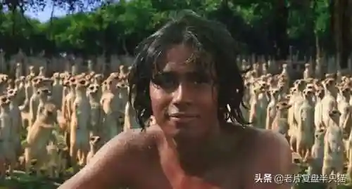 少年派的奇幻漂流(少年派隐喻深度解析)插图52