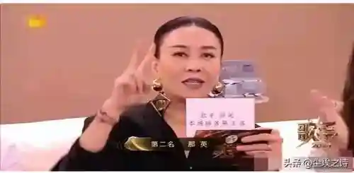郭子王者阵容怎么搭配最好(张辽郭嘉配谁最稳)插图27