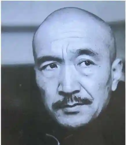 刘罗锅演员阵容搭配(刘禅和哪个英雄搭配)插图7