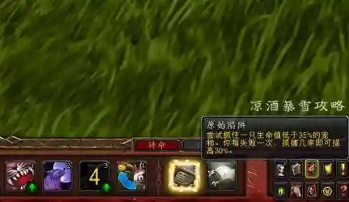 魔兽世界宠物对战怎么玩(wow宠物对战升级攻略)插图14