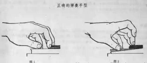 钢琴简谱入门(钢琴零基础入门免费教学视频)插图1