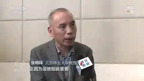 体球网手机比分(体球网足球官网)