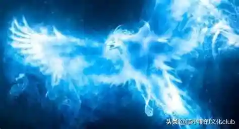 呼神守卫搭配阵容推荐(圣盾使阵容最强搭配)插图4