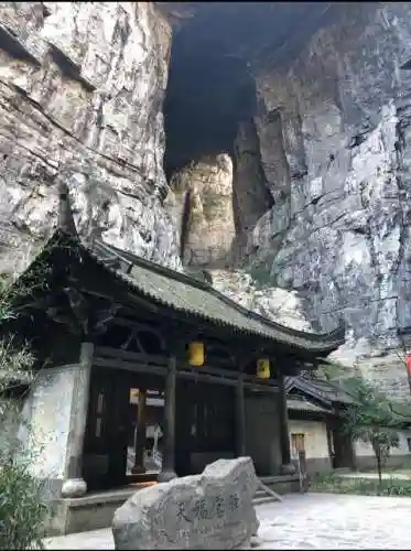 天福刺客阵容最新搭配(神天蝎最佳阵容)插图5