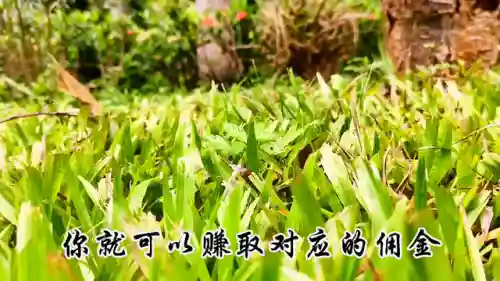 抖音正规接单赚佣金的平台(手机接单平台兼职挣佣金)插图2