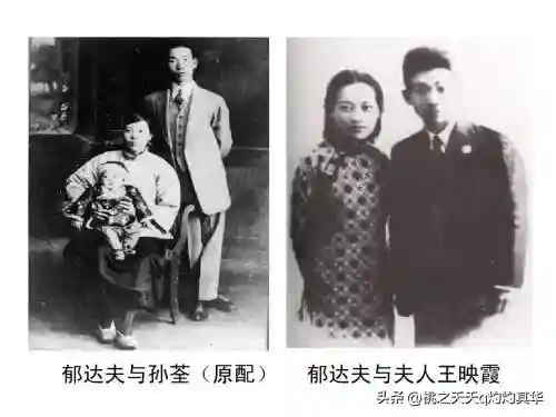 千秋奇缘阵容搭配(奇缘之旅t0阵容)插图1