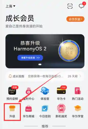 荣耀手机怎么升级鸿蒙系统(magic系统和鸿蒙谁好)插图14