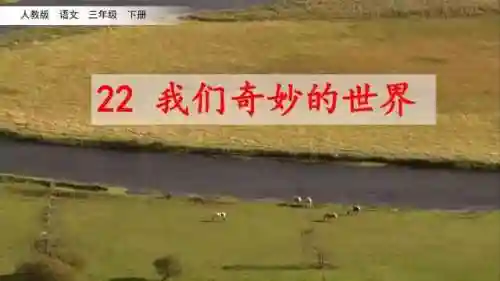 奇妙的近义词(奇妙的近义词是什么(最佳答案))插图3