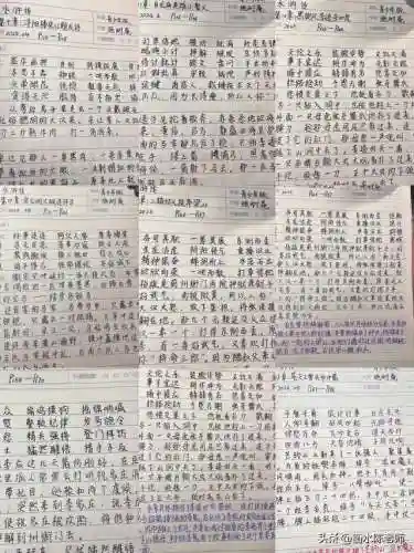 水浒传读书笔记(三国演义读书笔记摘抄图片)插图14