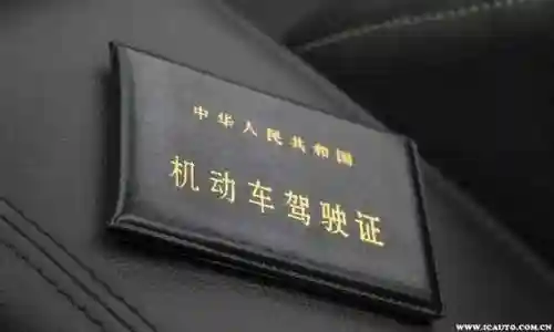 交管12123成绩查询入口(科目二成绩查询入口)插图2