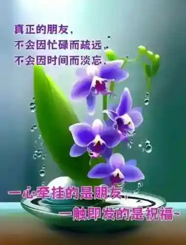 早安物语推荐阵容搭配图(心力物语最强阵容)插图11