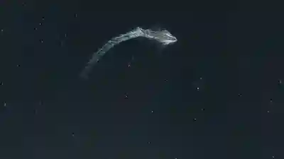 战舰世界苏联首发阵容搭配(苏联有战列舰吗)插图12