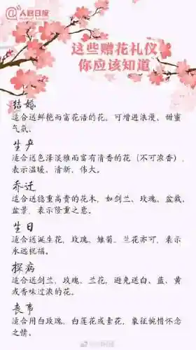 所有花语大全(花语经典语录)插图6