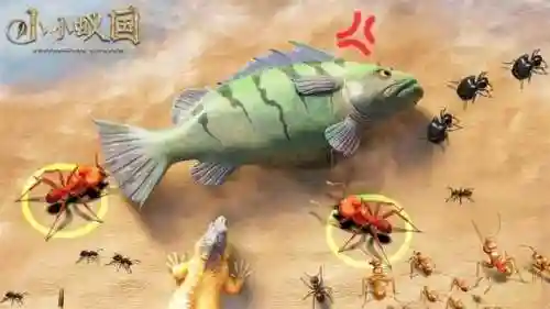 小小蚁国海盗阵容搭配(蚁族崛起推荐阵容)