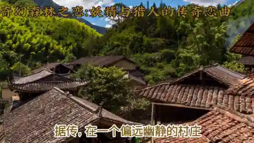幻之森林阵容怎么搭配(放置奇兵阵容搭配)