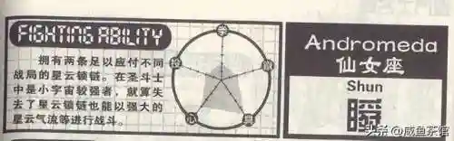 圣斗士星矢瞬阵容搭配(圣斗士冥王瞬技能加点)插图1