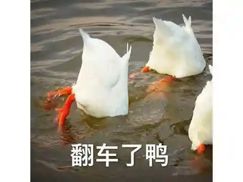 樱花校园2021更新版正版在哪下(樱花校园模拟器最新版在哪下载)插图25
