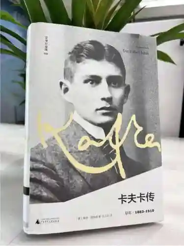 卡夫卡阵容搭配新手(云顶之弈阵容搭配图表)插图5