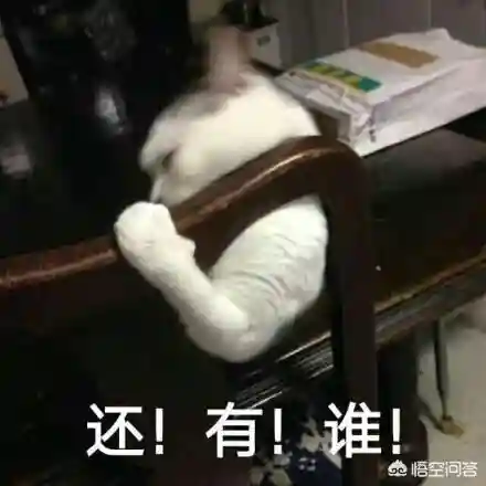 崩坏3物理阵容搭配新手(崩坏3最强输出阵容)插图5 崩坏3物理阵容搭配新手(崩坏3最强输出阵容)插图5