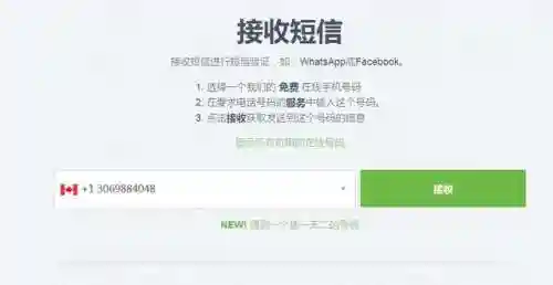虚拟手机号接收验证码(虚拟号码发送短信平台)插图1