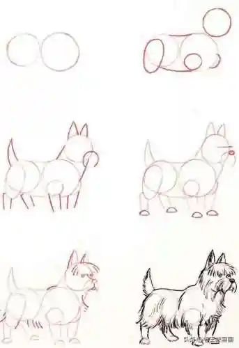 画100个呆萌可爱小动物(画小动物简单又可爱)插图15