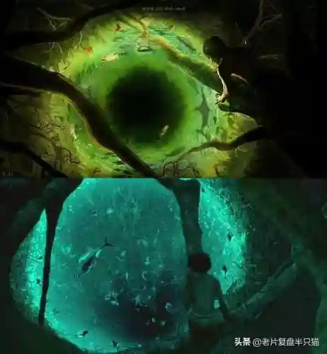 少年派的奇幻漂流(少年派隐喻深度解析)插图53