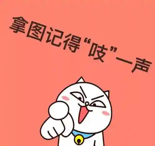 主题桌面动态壁纸(动态壁纸免费下载)插图16
