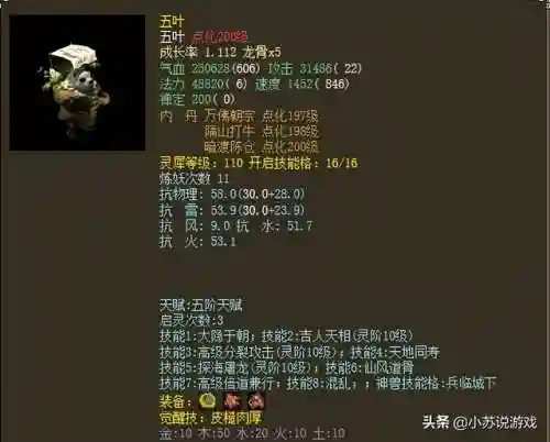 比斗最强无解阵容搭配(虚幻斗宠最强阵容)插图1