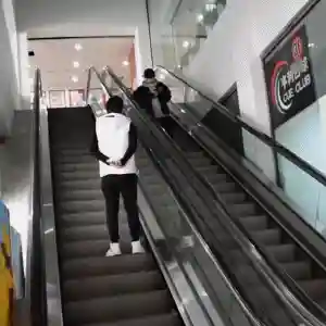 门神国际服阵容搭配攻略(神都探奇橙色门客搭配高战)插图15