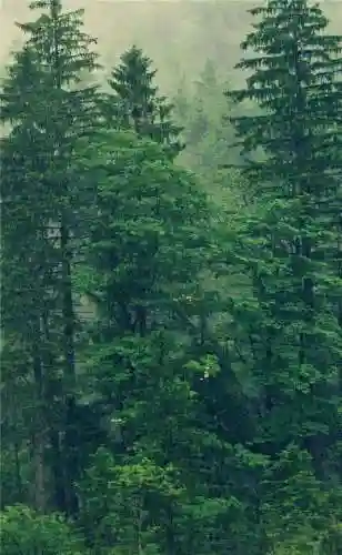 超好看的手机壁纸图片(手机壁纸图片女生专用)插图15 超好看的手机壁纸图片(手机壁纸图片女生专用)插图15