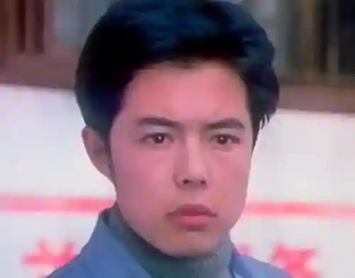 巨鹤和蝙蝠阵容搭配(超能合体鸭顶级阵容)插图6