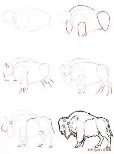 画100个呆萌可爱小动物(画小动物简单又可爱)插图18