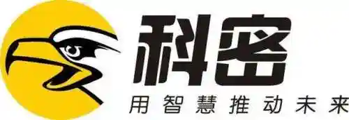 科密最强阵容搭配推荐(闪烁之光最强阵容)