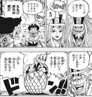 洛克斯冒险队阵容搭配(冒险王3ol阵容搭配)插图11