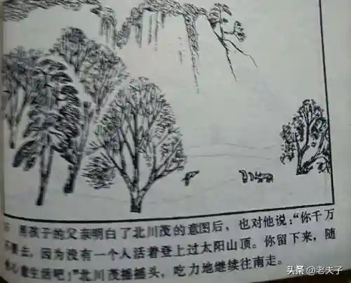 寻宝渔夫大亨(捕鱼大亨)插图15