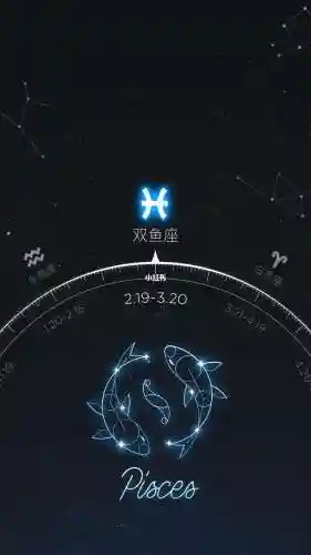 双子和双鱼怎么搭配阵容(双鱼和摩羯配对)