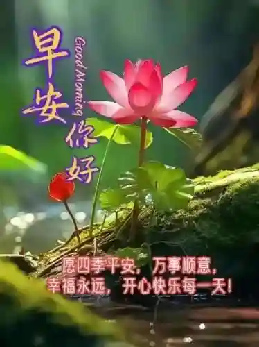 早安物语推荐阵容搭配图(心力物语最强阵容)插图9