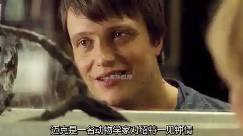 特工绍特2(特工绍特有第二部吗)插图3