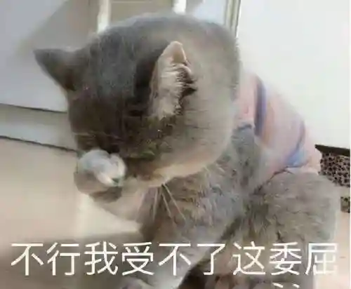 原始传奇第一土豪(长久耐玩的传奇有哪些)插图5