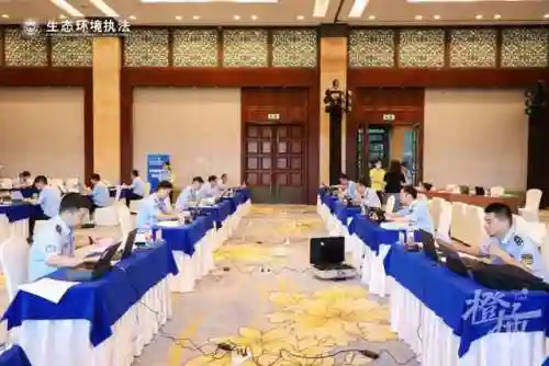 郑子丹最强阵容搭配(甄子丹经典动作集锦)
