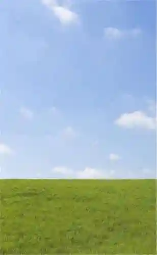 超好看的手机壁纸图片(手机壁纸图片女生专用)插图43 超好看的手机壁纸图片(手机壁纸图片女生专用)插图43