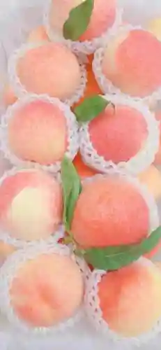 水蜜桃图片大全唯美壁纸(桃子壁纸软件下载)插图81
