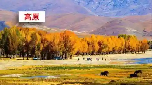 奇妙的近义词(奇妙的近义词是什么(最佳答案))插图56