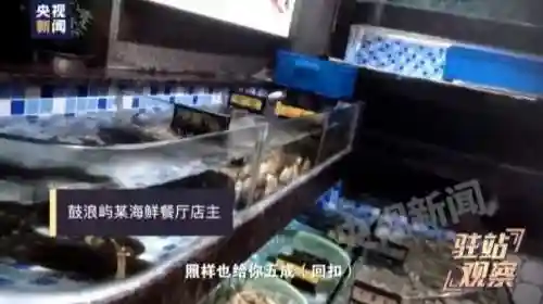 个人身份信息调查网(通过姓名身份证号查个人户籍)插图2