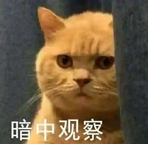 先锋英雄丘比特阵容搭配(命运先锋卡牌手游阵容推荐)插图5