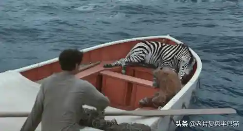 少年派的奇幻漂流(少年派隐喻深度解析)插图16