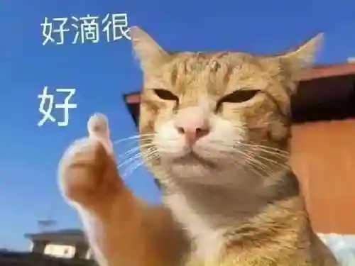 机甲魔道阵容搭配推荐图(空面逢魔阵容)插图3