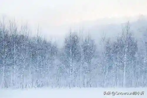极寒之夜阵容搭配推荐(黑夜无尽最佳阵容图解)插图12