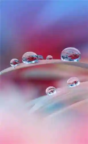 超好看的手机壁纸图片(手机壁纸图片女生专用)插图26 超好看的手机壁纸图片(手机壁纸图片女生专用)插图26